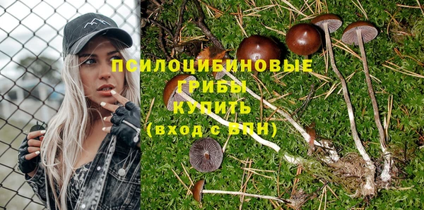 спиды Арсеньев